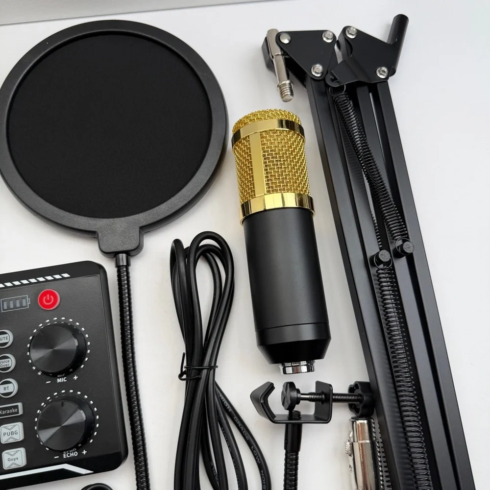 Professional Silver Condenser Microphone